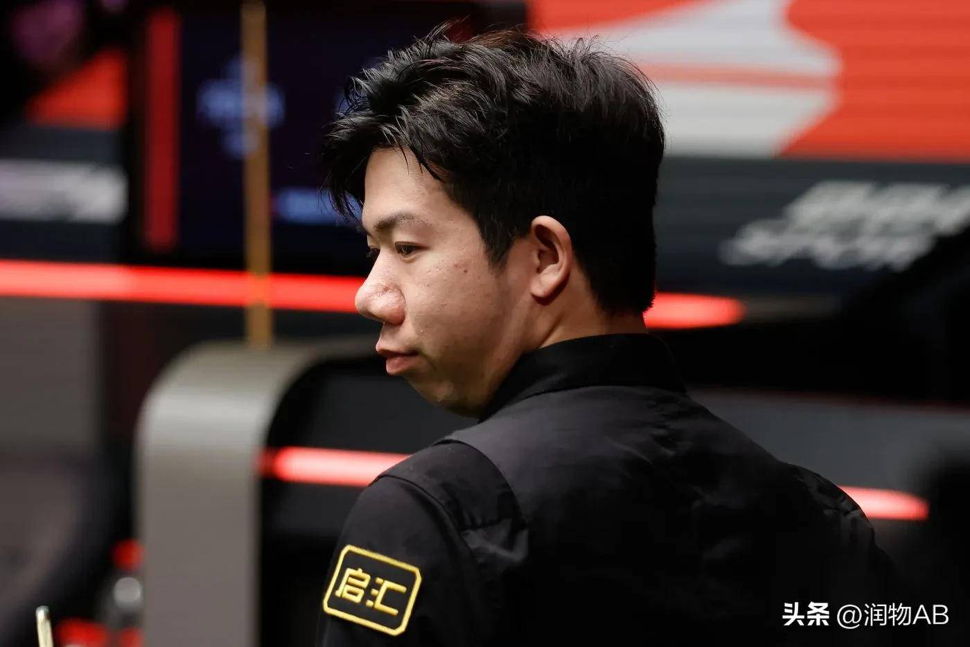 马来西亚羽 马来西亚羽