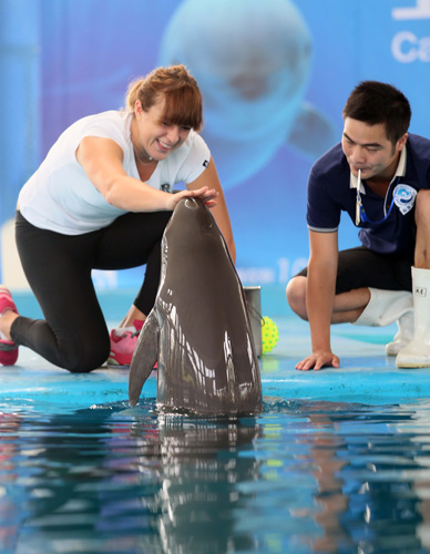 投篮空间 投篮空间