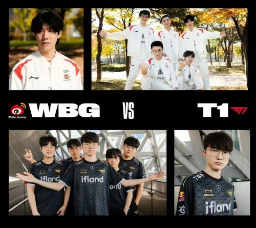 女排具备优 女排具备优