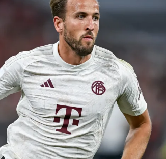 稳定的后防 稳定的后防