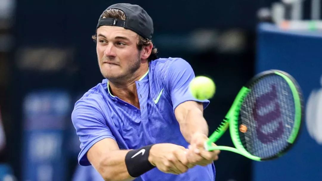 领域的霸主 领域的霸主